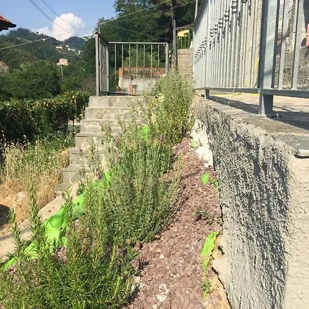 Casa Vacanze - Muggiano Lerici